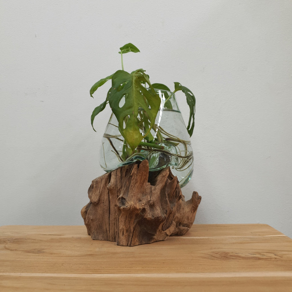 vase